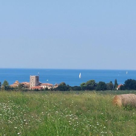 Apartments Henc Novigrad Istria Exterior foto