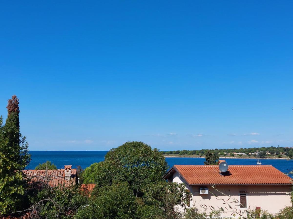 Apartments Henc Novigrad Istria Exterior foto