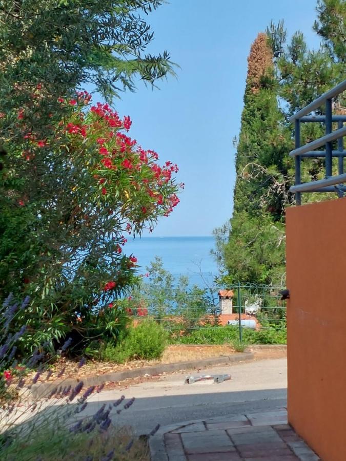 Apartments Henc Novigrad Istria Exterior foto
