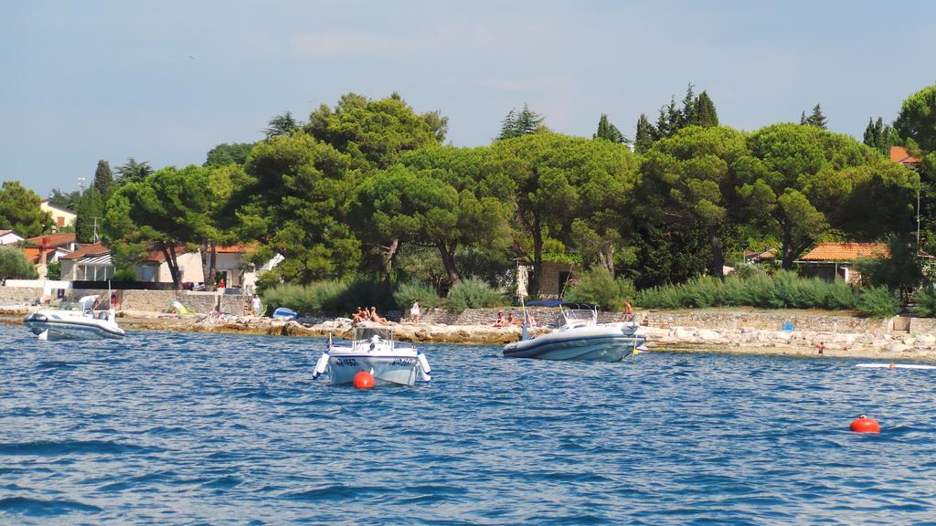 Apartments Henc Novigrad Istria Cameră foto