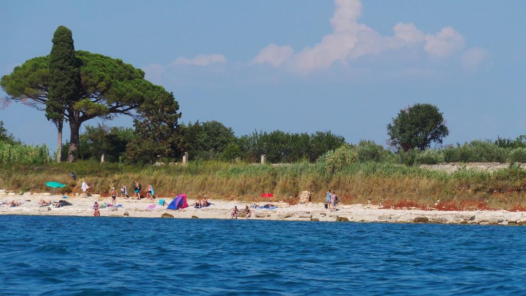 Apartments Henc Novigrad Istria Cameră foto