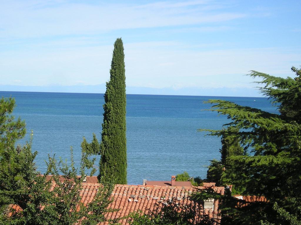 Apartments Henc Novigrad Istria Cameră foto